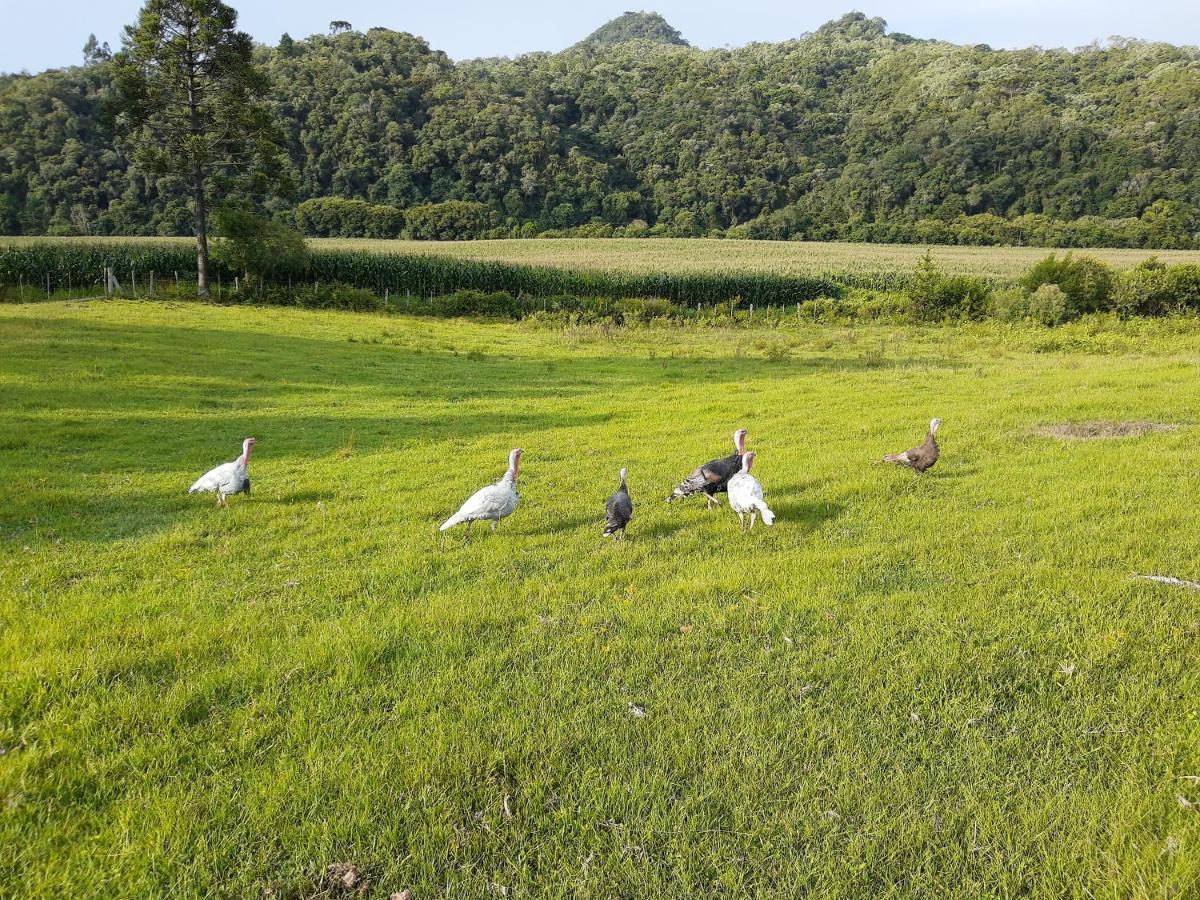 Vila Fazenda Tamandua Casa De Campo - Cabana Coragem Rio Rufino Exteriér fotografie